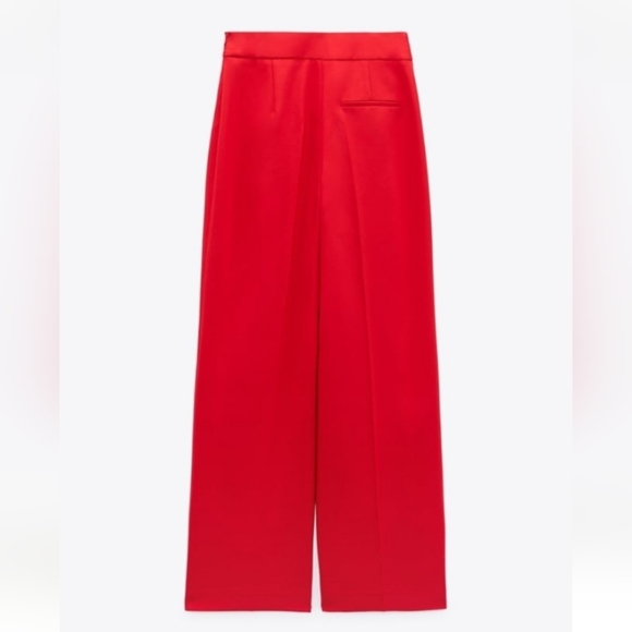 Zara Buttoned Wide Leg Pants - Picture 6 of 9